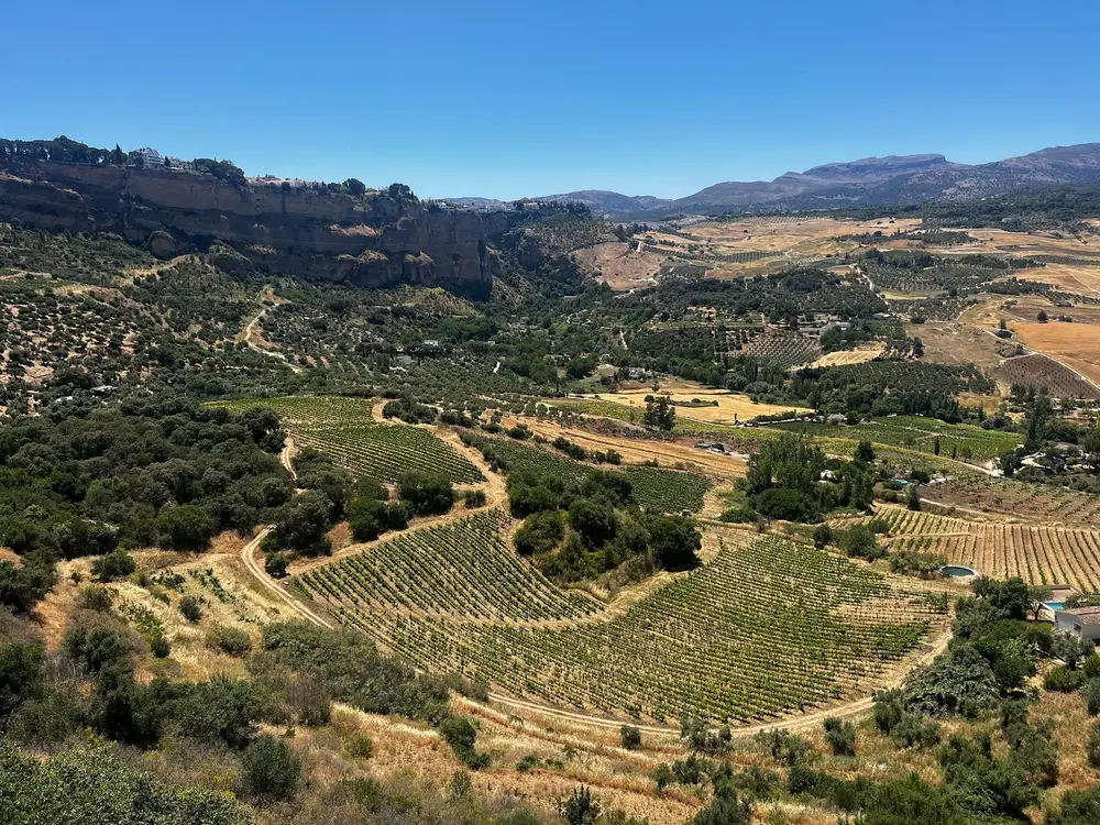 Bodega Descalzos Viejos – zdjęcie 4