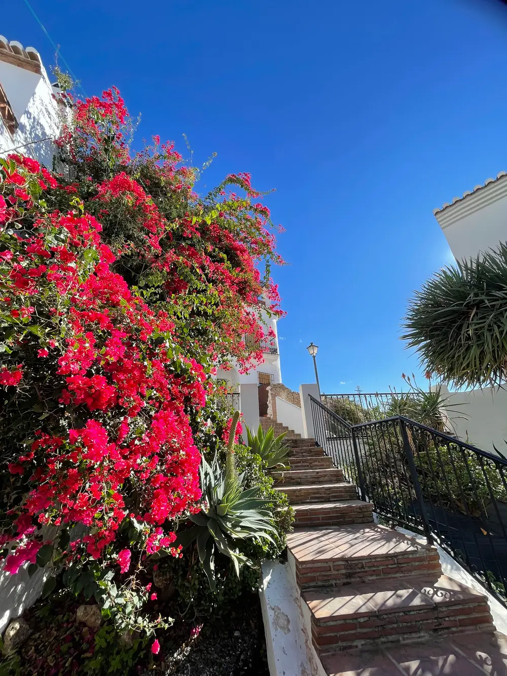 Frigiliana – zdjęcie 2