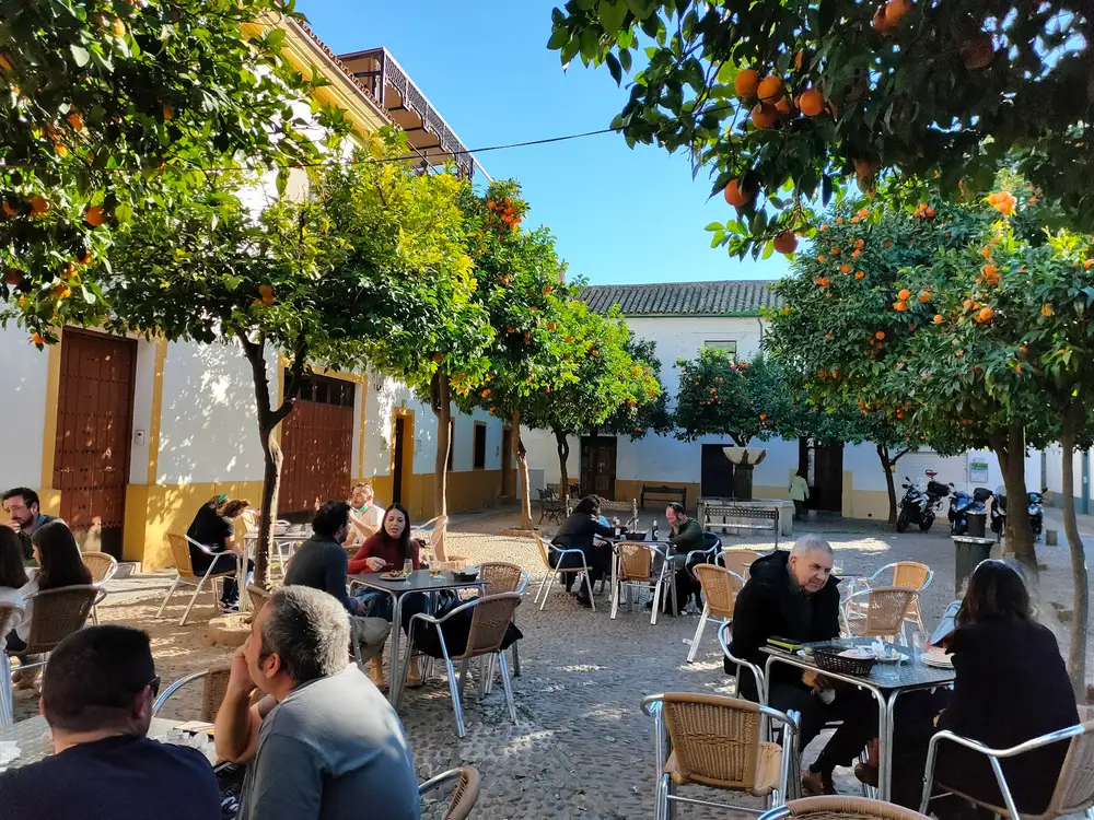 Taberna Regina