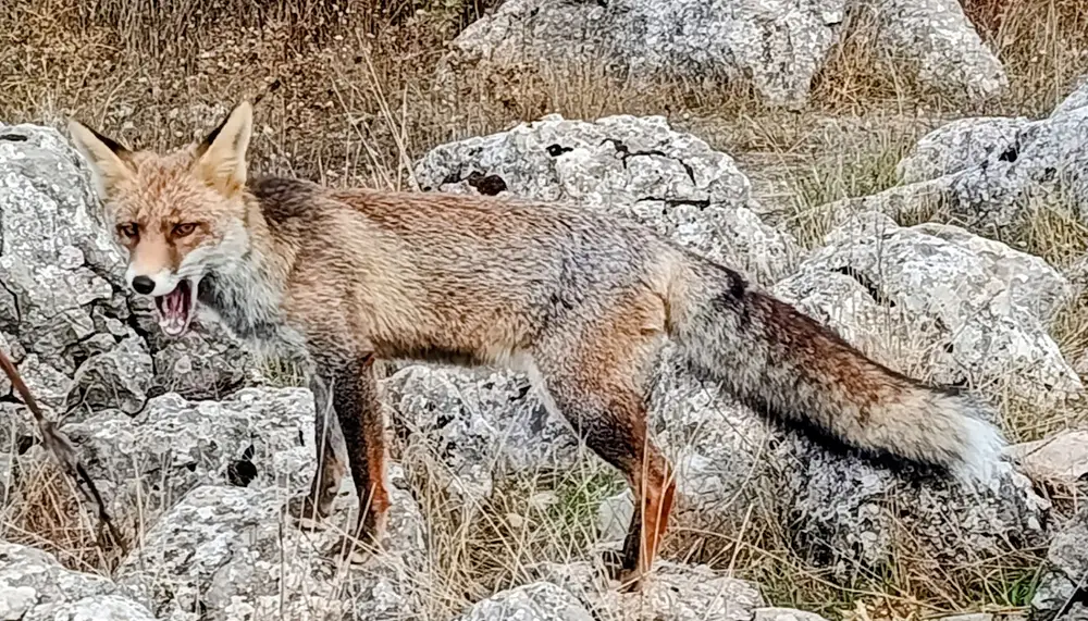 El Torcal de Antequera – zdjęcie 5